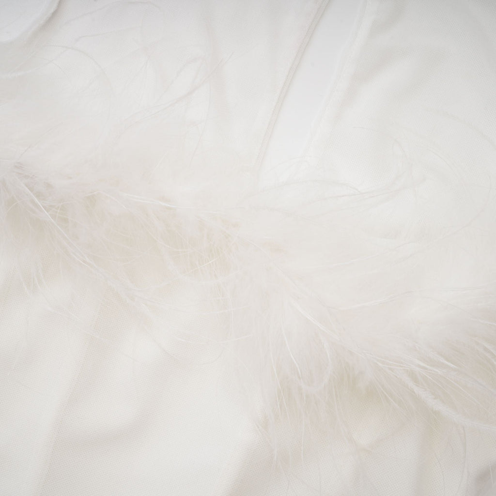 Εφαρμοσμένο Φόρεμα Désirée Με Φτερά