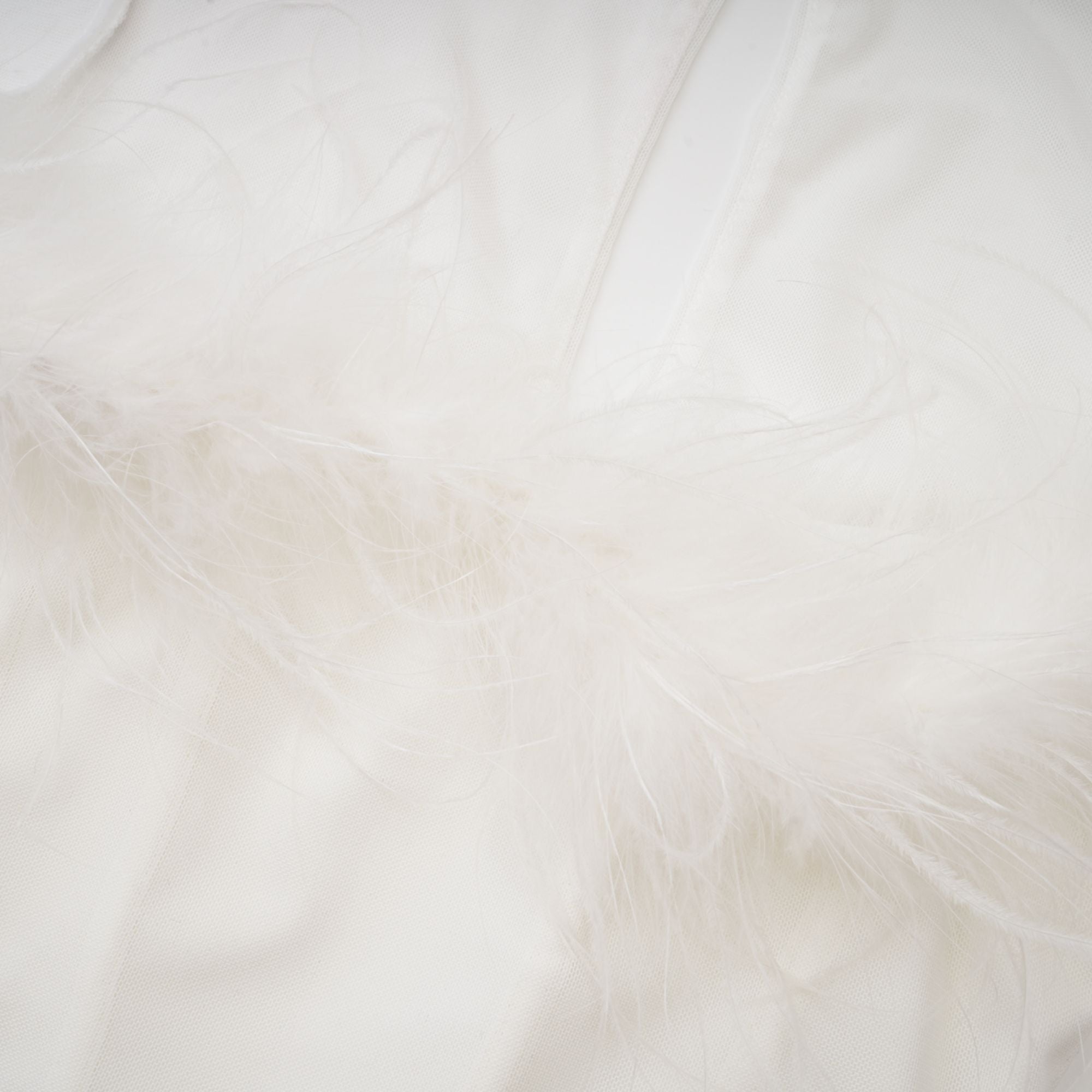 Εφαρμοσμένο Φόρεμα Désirée Με Φτερά